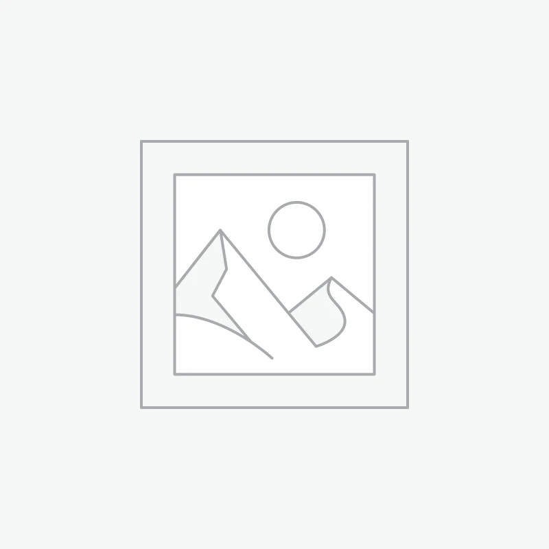 Boules décoratif avec chapeau lot de 20 a